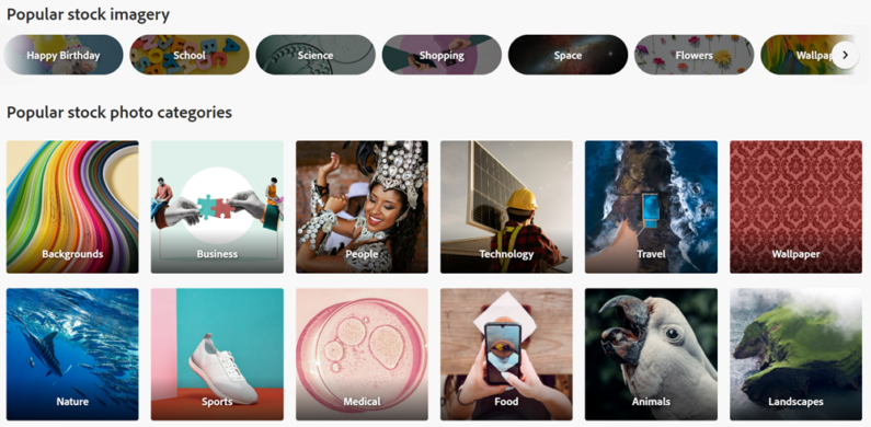 Get Creative with Adobe Stock Free Photos